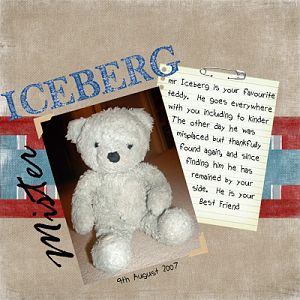 My son's favourite teddy - Mr Iceberg