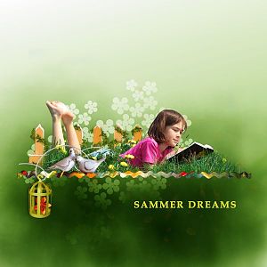 sammer dreams