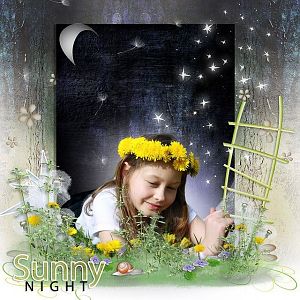 "Sunny Night" PST Design