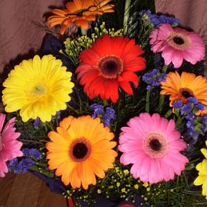 Gerberas from Annette