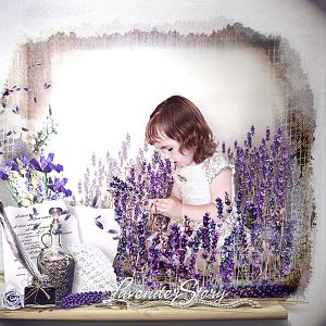 Lavender Story