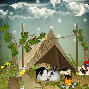 Even bunnies like camping