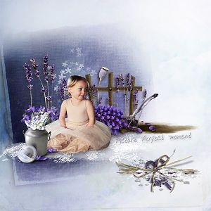 Lavender Story