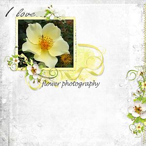 Flower photography