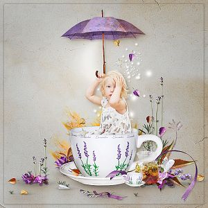 Savoury Illusions