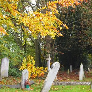 Autumn Graveyard