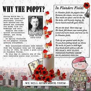 Why The Poppy?