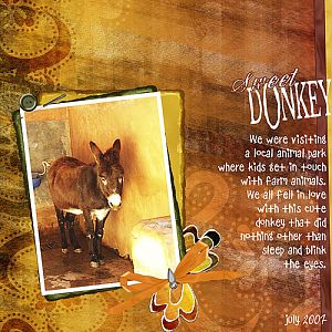 Sweet Donkey