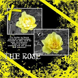 The Rose