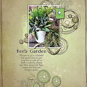 Herb Garden