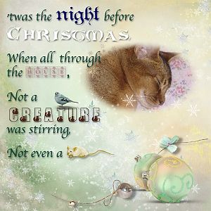 Night Before Christmas