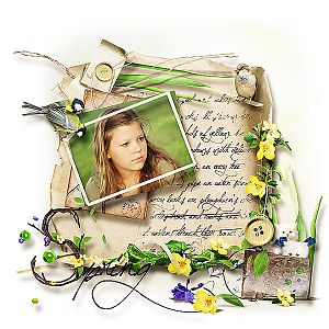 Tiramisu design "Spring Dreams"