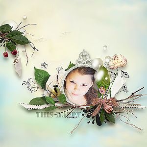 Tiramisu design "Morning With Berry Taste"