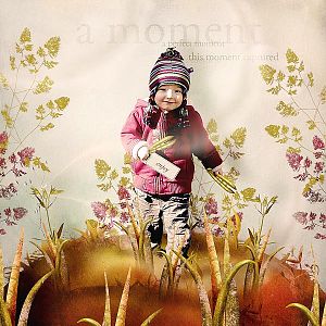 all the august afternoons