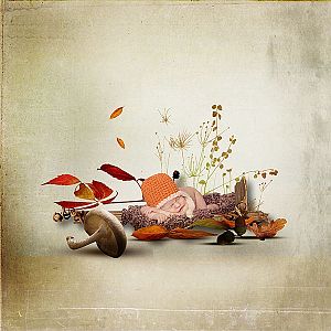 Quiet Breath Of Autumn