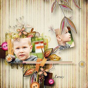 All the august afternoons II