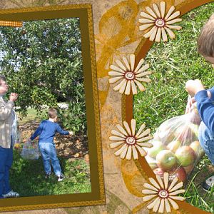 more apple picking