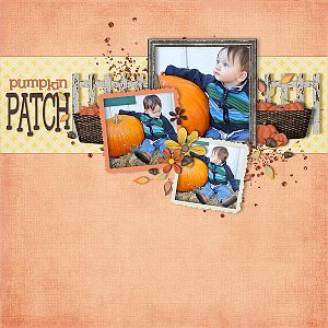 pumpkin patch