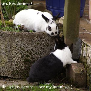 January Photography Challenge