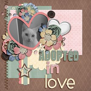 Adopted in Love