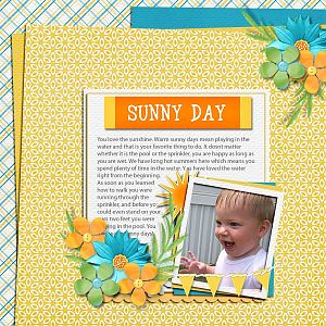 Sunny Day