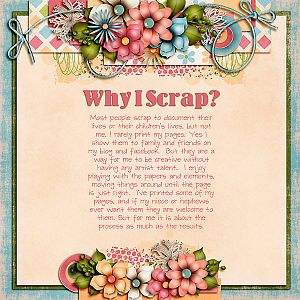 Why I Scrap?