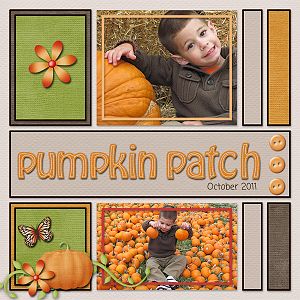 Pumpkin Patch