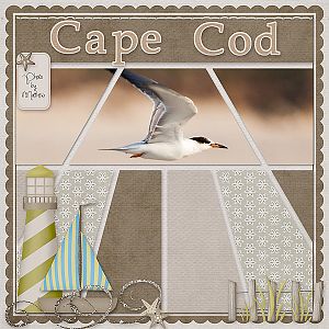 Cape Cod