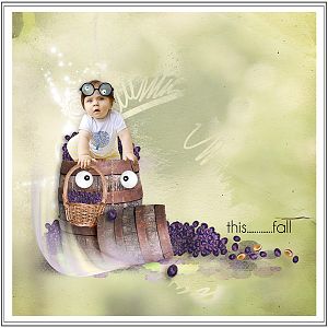 Plum Boom