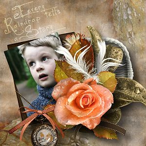 feli_raindropdreams