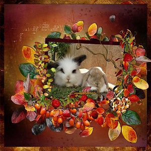 Snoopy&Tassilo - RAK for Lexi