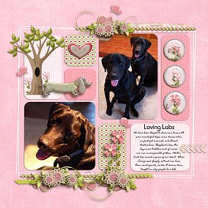 Loving Labs