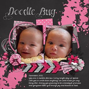 Doodle Bug - 2 mo