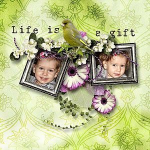 Life is a gift