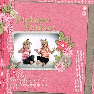 Picture Perfect