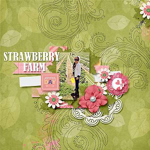 Strawberry Farm