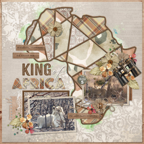 2018-08-03_KingofAfrica