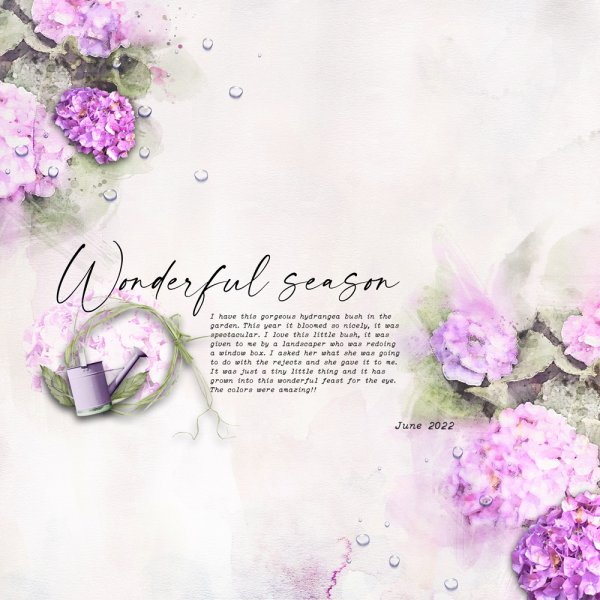 2022-7-10-WonderfulSeason.jpg
