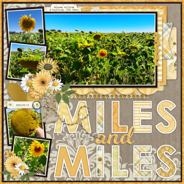 2023-03-13_MilesAndMiles