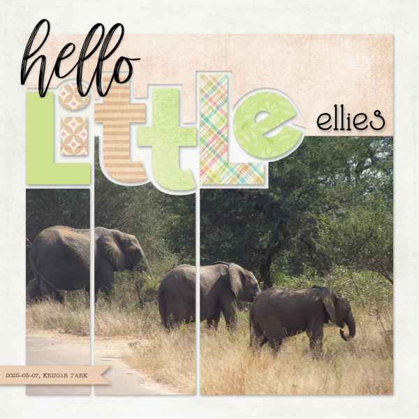 2023-05-07_HelloLittleEllies
