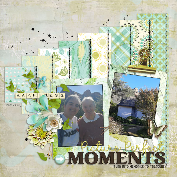 2025-04-13_PicturePerfect