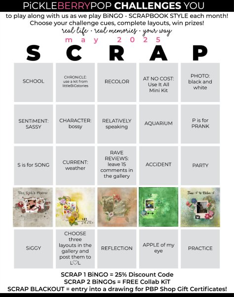 2025-05_pbp_scrapbook_bingo-anja01.jpg