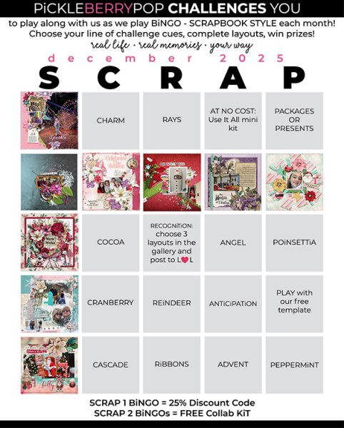 2025-12_pbp_scrapbook_bingo_fin