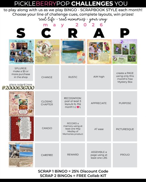 2026-05_pbp_scrapbook_bingo.jpg
