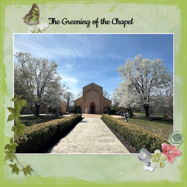 2026_03 C1 Color Green