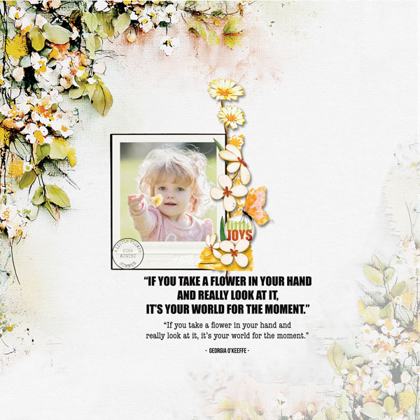 a-little-flower.jpg