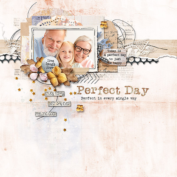 A Perfect Day
