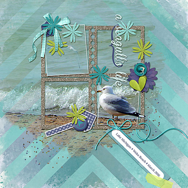 A Seagull's Life