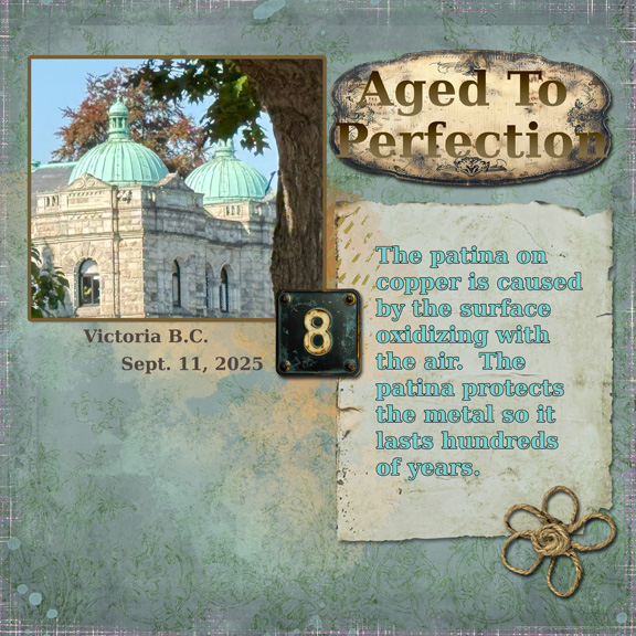Aged 8x8 72.jpg