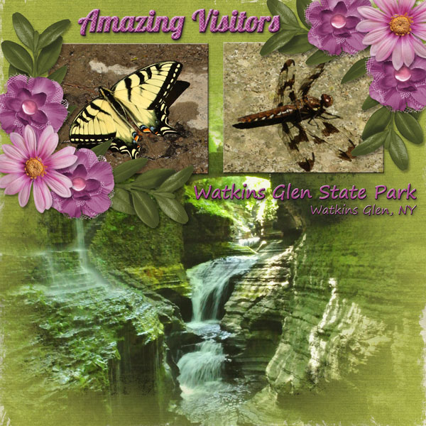 Amazing visitors